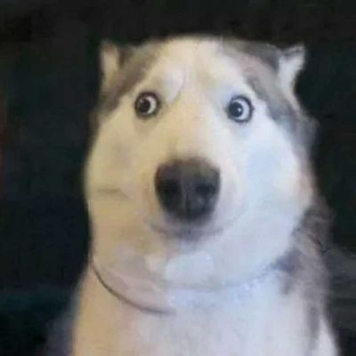 哈哈哈哈哈哈哈哈哈