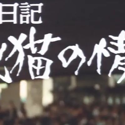 OL日記 牝猫の情事