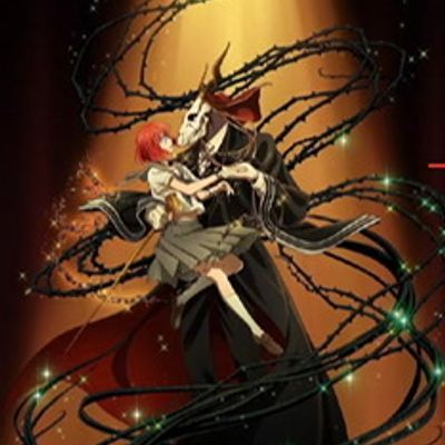 魔法使之嫁/魔法使いの嫁