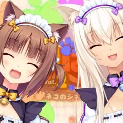 猫猫的乐园