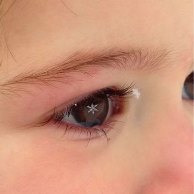 刘晓燕21年6月6级教程