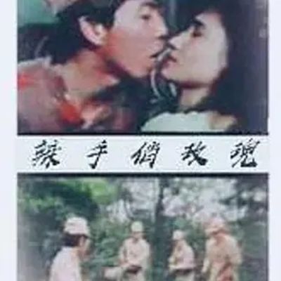 辣手俏玫瑰