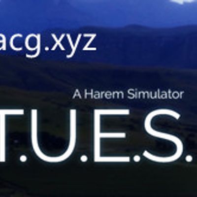 #V.I.R.T.U.E.S.美德 V14.5 精翻汉化版