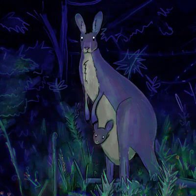 #Billy Basso 动物井