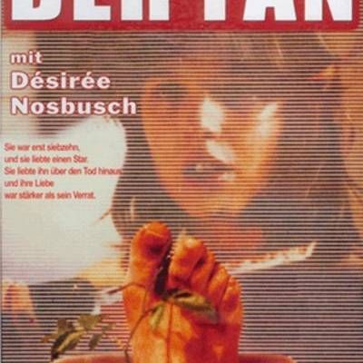 嗜血追星女 Der Fan 嗜血追星女 Der Fan