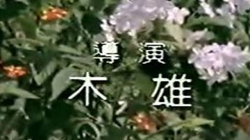 台湾假戏真做打真军电影合集