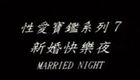 新婚快乐夜 台湾