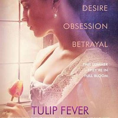 狂热郁金香 狂热郁金香