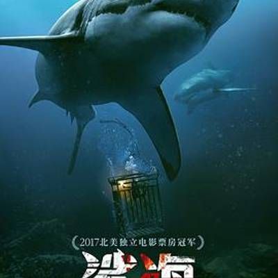 #鲨海