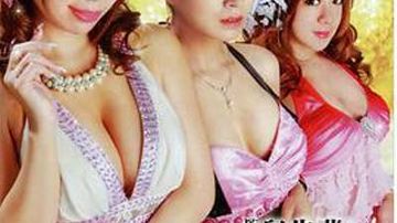 爱幻蝶:娘王之路