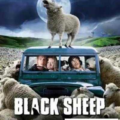 #疯羊