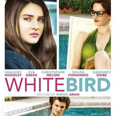 #暴风雪中的白鸟