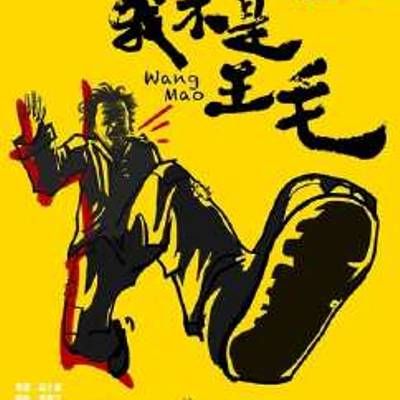 我不是王毛