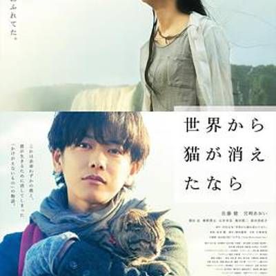 #假如猫从世界上消失了