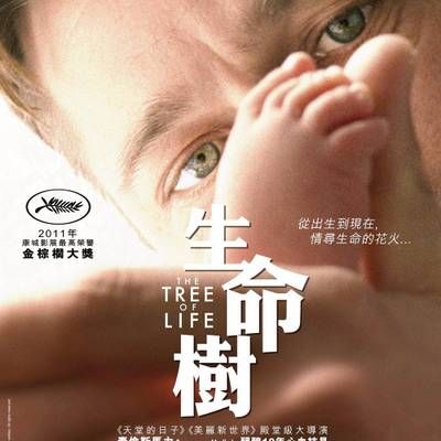 生命之树 生命之树