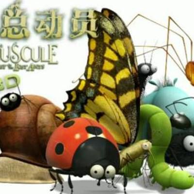 昆虫总动员