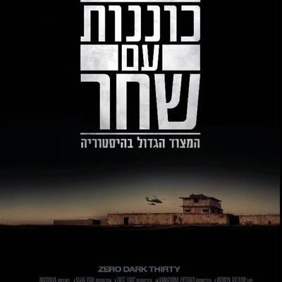 #猎杀本·拉登 Zero Dark Thirty