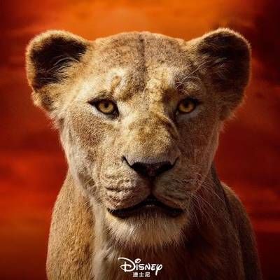 #狮子王真人版