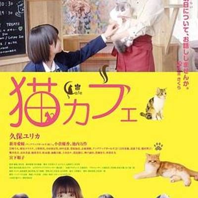 猫咪咖啡厅 猫咪咖啡厅