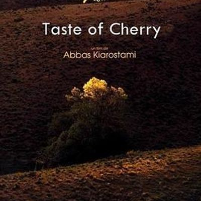 樱桃的滋味 樱桃的滋味