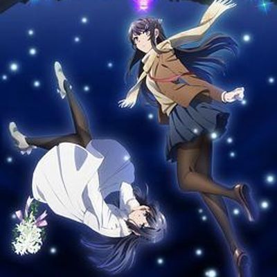 #青春期猪头少年不做怀梦少女的梦