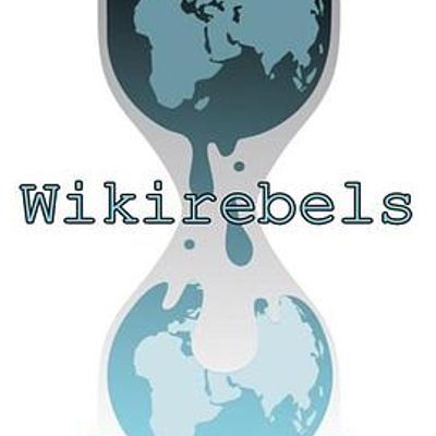 #维基解密的抗争