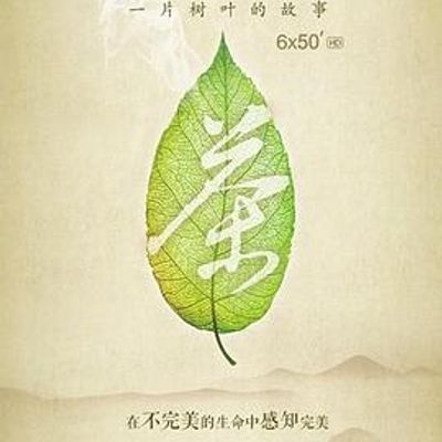 #茶,一片树叶的故事