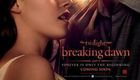 暮光之城4:破晓(上)