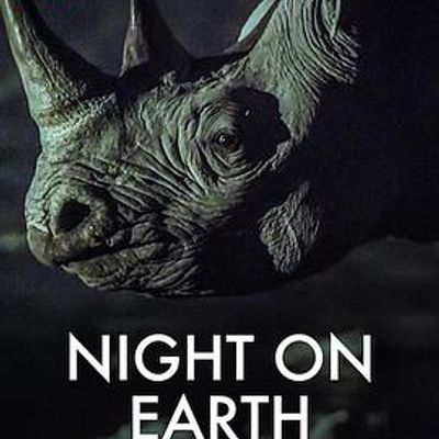 地球的夜晚