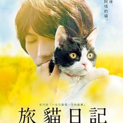 #旅猫日记