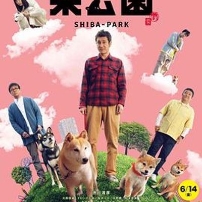柴犬公园 柴犬公园