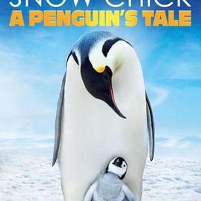 #帝企鹅宝宝的生命轮回之旅