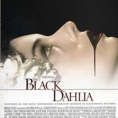 黑色大丽花 黑色大丽花