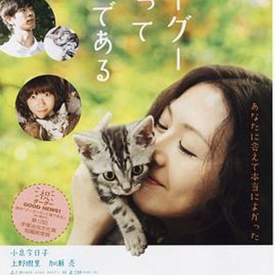 咕咕是一只猫 咕咕是一只猫