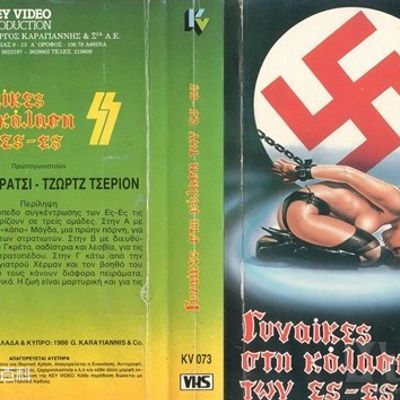 纳粹军妓血洎史