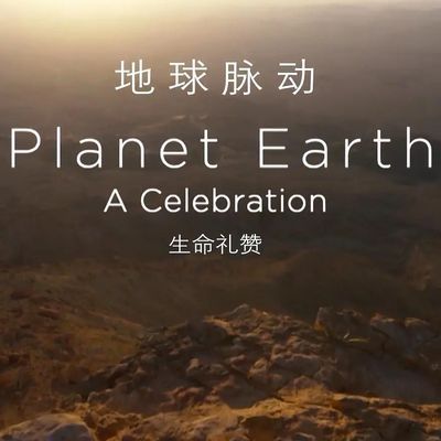 地球脉动•生命礼赞