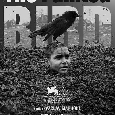 #被涂污的鸟 Nabarvené ptáče (2019)