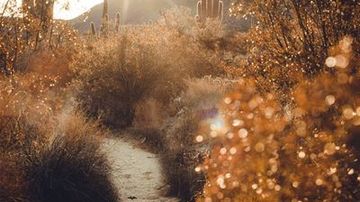 唐朝禁宫秘史 / 金装豪情武则天