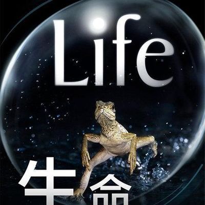 生命