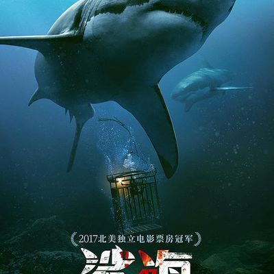鲨海