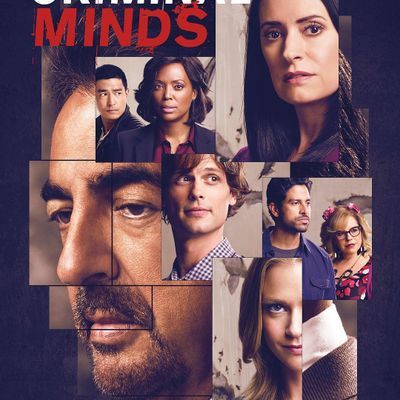 #犯罪心理(第十五季)