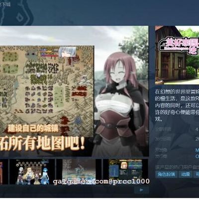 美好家园与地下城 最新官方中文步兵版 已打社保补丁