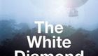 白钻石