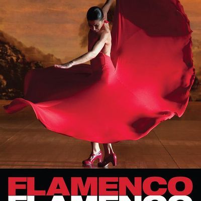 #弗拉门戈,弗拉门戈