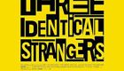 孪生陌生人