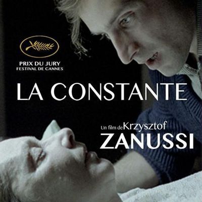 山巅的呼唤 山巅的呼唤