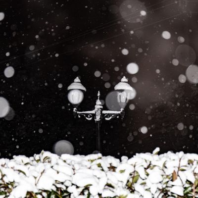 雪夜物语1
