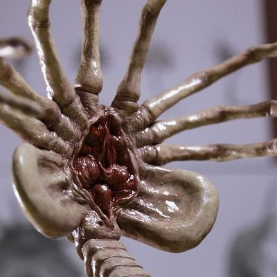 3D动画·《异形》·抱脸虫合集