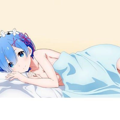 VR Rezero Rem