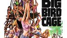 大鸟笼